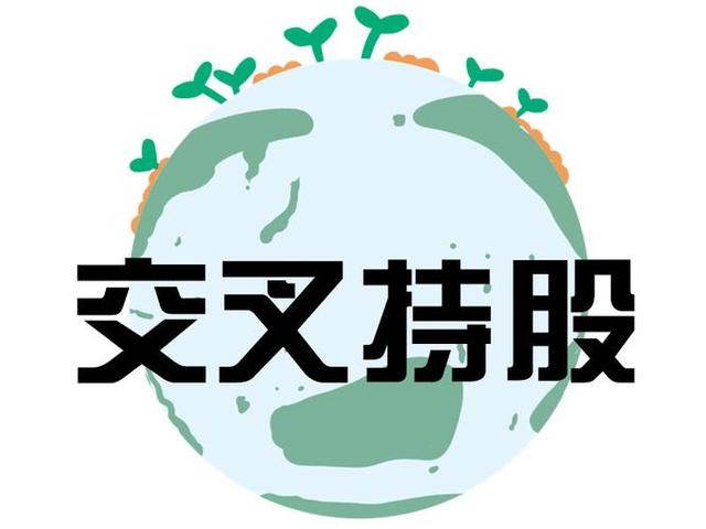 交叉持股安排设计(交叉持股怎么计算持股比例)合肥市