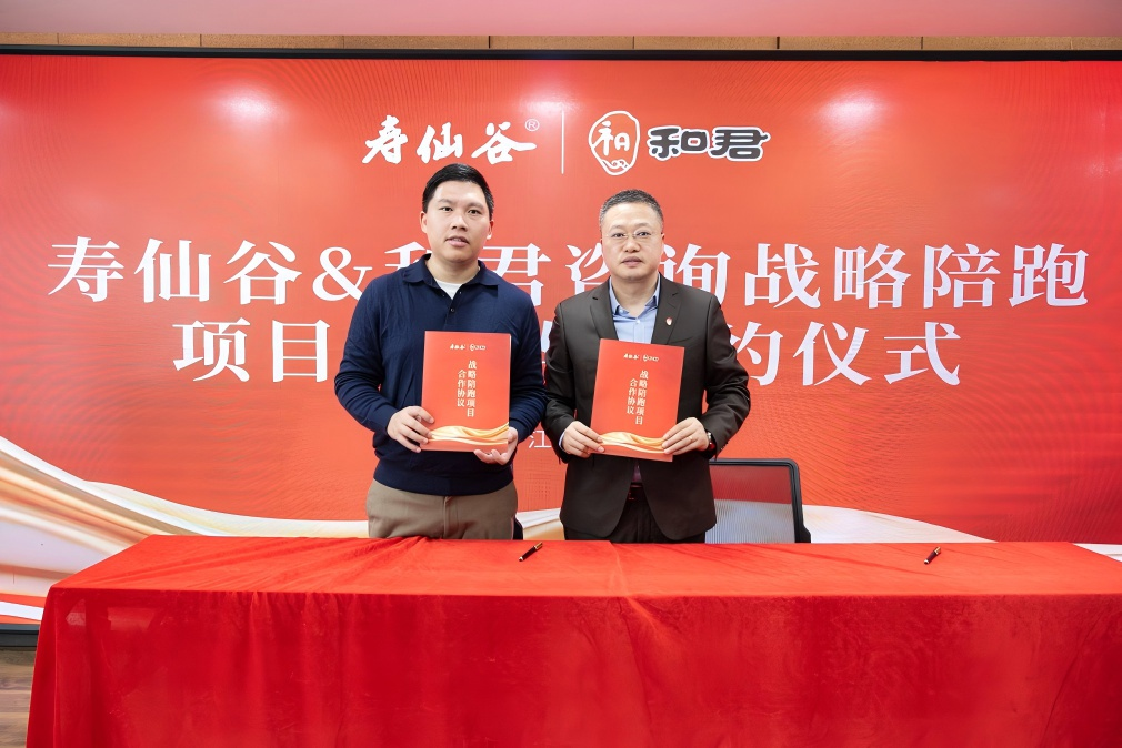 战略执行陪跑服务(战略执行五步方案案例)合肥市