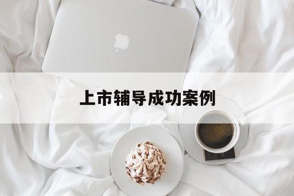上市辅导成功案例(上市辅导成功后肯定会上市吗)合肥市